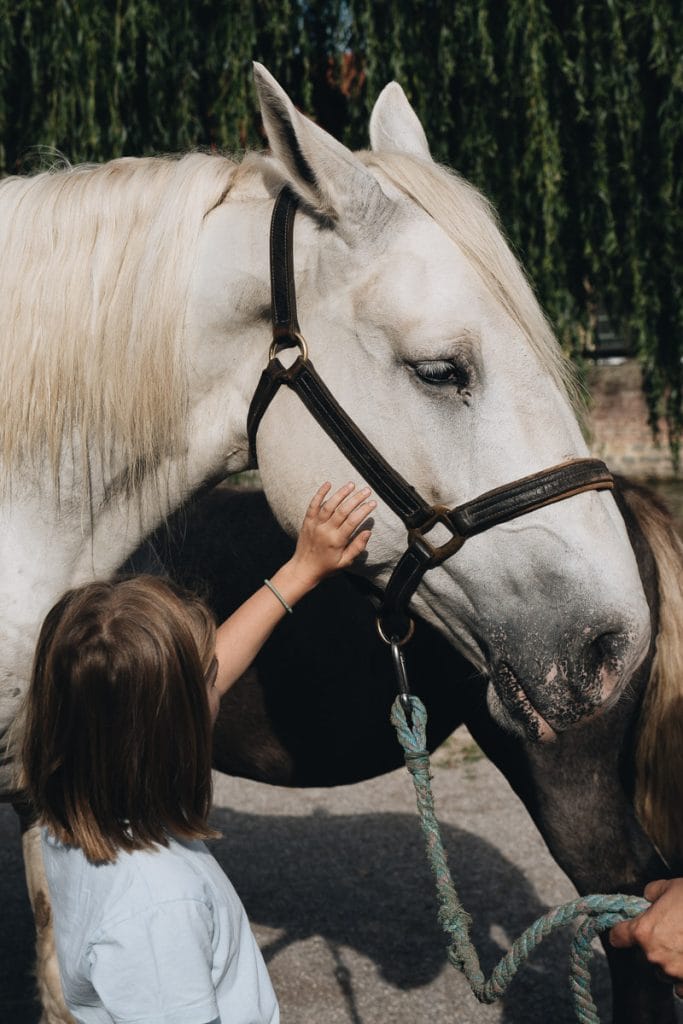 Maison du Cheval Boulonnais