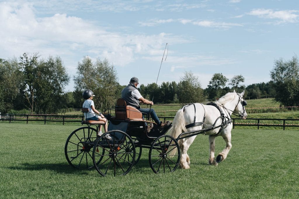 Maison du Cheval Boulonnais
