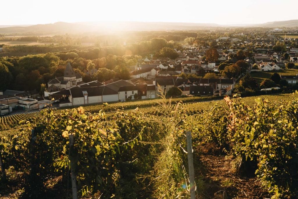 Vignoble Champagne Hautvillers