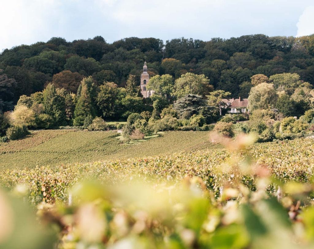 Vignoble ede Champagne