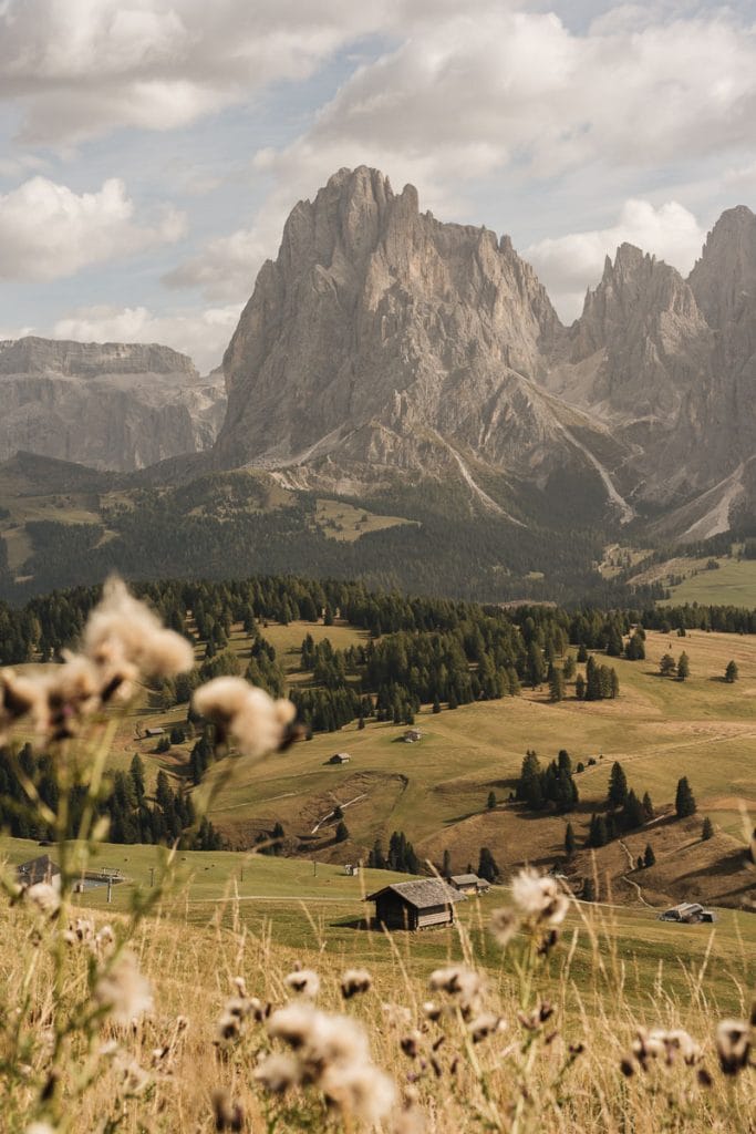 alpe Siusi