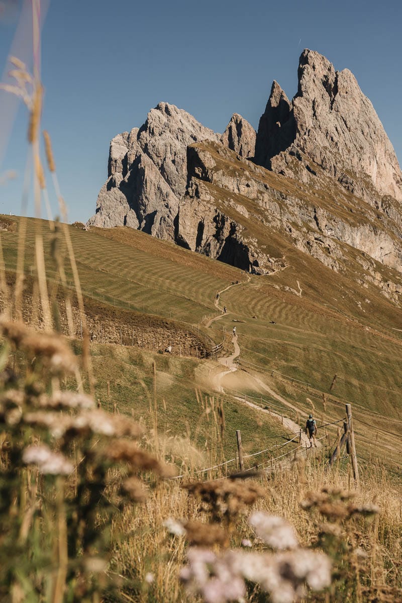 randonnée Dolomites Seceda