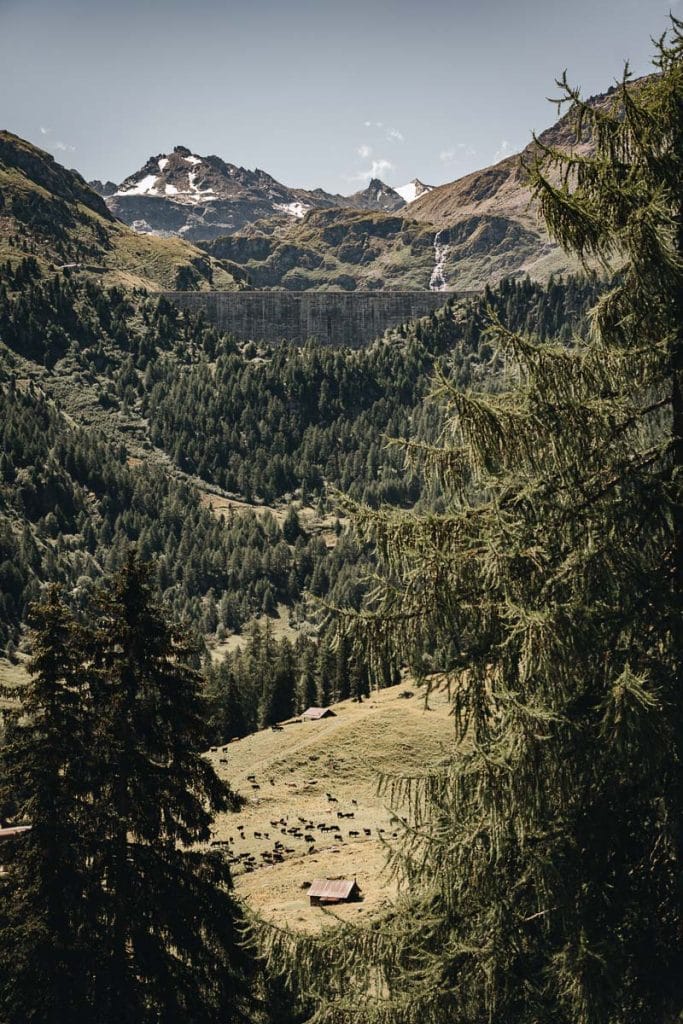 alpge de Tortin