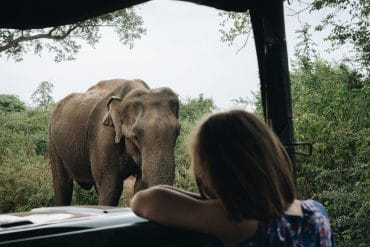Safari Udawalawe