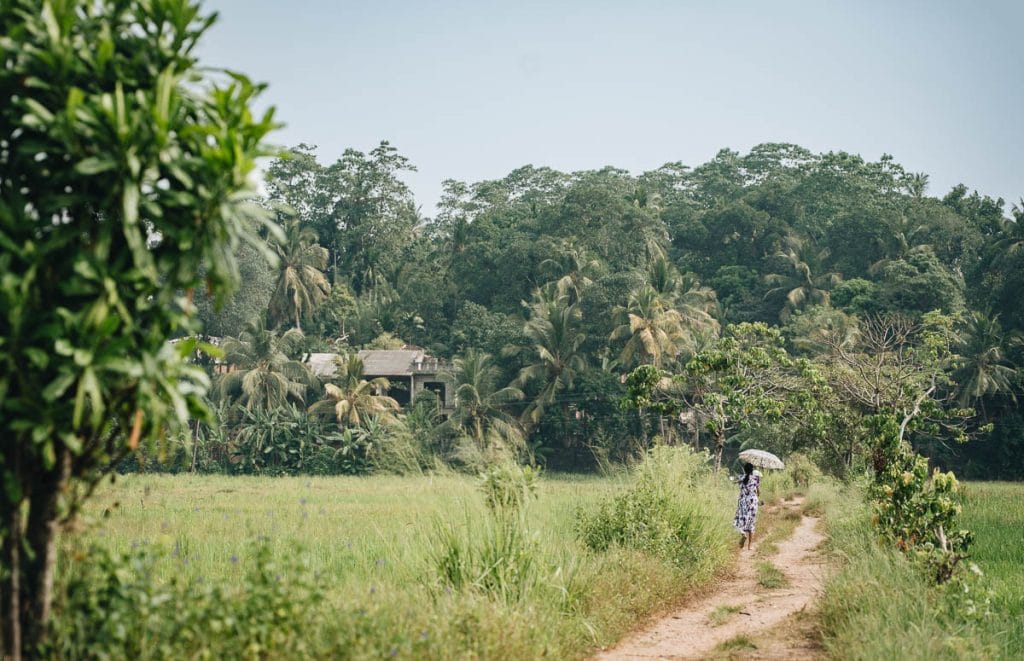 campagne sud Sri Lanka