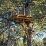 Homme admirant la vue panoramique sur la forêt depuis le balcon en bois d'une cabane perchée.