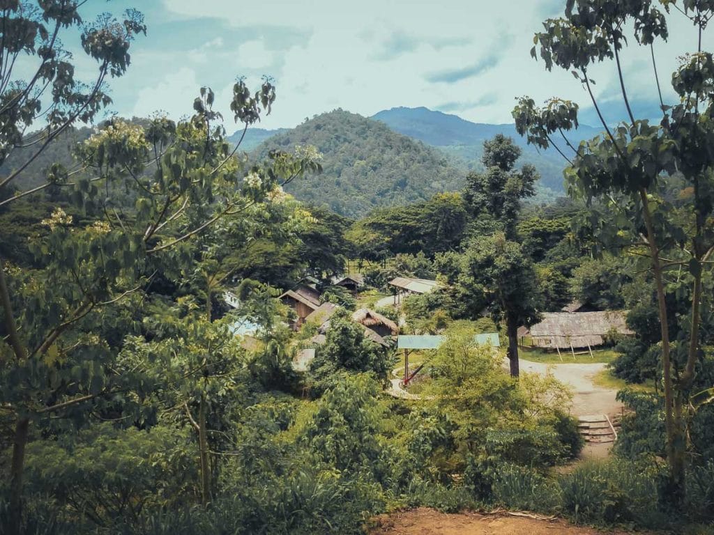 jungle luxuriante dans les environs de Chiang Mai