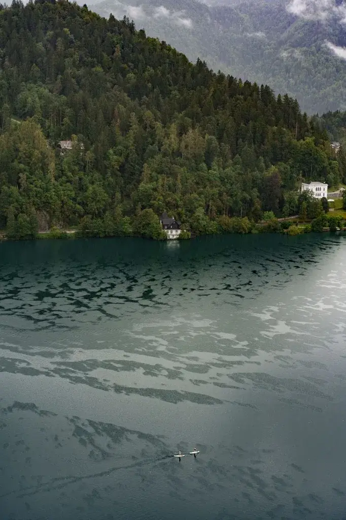 Deux personnes faisant du stand-up paddle sur les eaux claires du lac de Bled