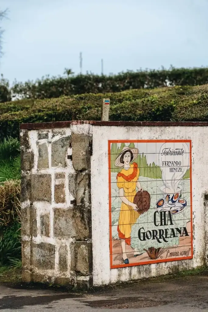 Azulejos traditionnels de la plantation de thé Chá Gorreana à São Miguel aux Açores