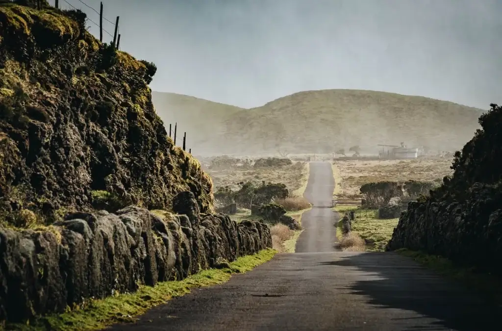 Route bordée de murets en pierre de lave sur l'île de Pico aux Açores, paysage volcanique brumeux