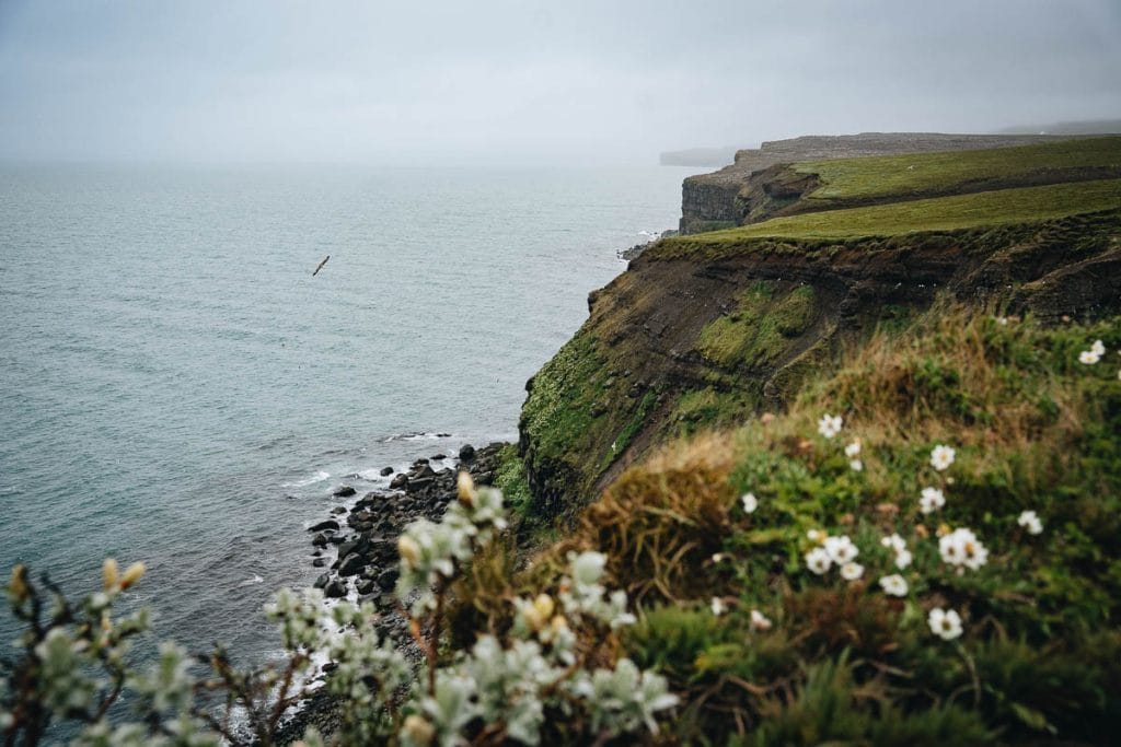 Vue panoramiques sur les falaises fleuries de Tjornes au nord de l'Islande
