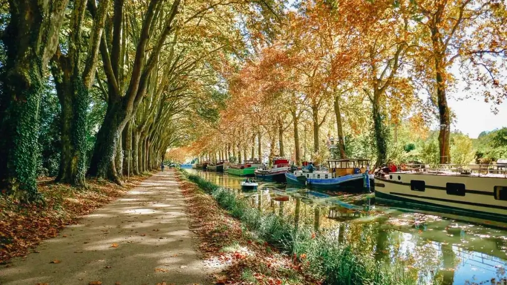Péniches amarrées sous les arbres le long du Canal du Midi dans l'Hérault