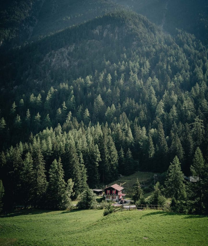 Chalet en bois typique niché au bord d'une forêt de sapins sur le sentier à Trient