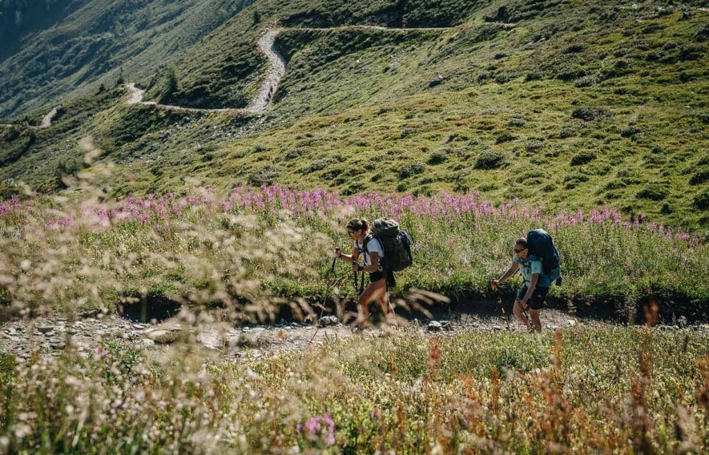 Deux randonneuses grimpant le sentier du col de Balme au milieu des fleurs d'épilobes