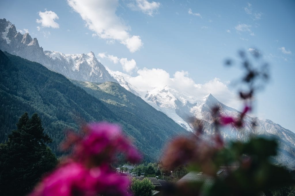 Fleurs roses au premier plan avec vue panoramique sur le massif du Mont-Blanc et la vallée