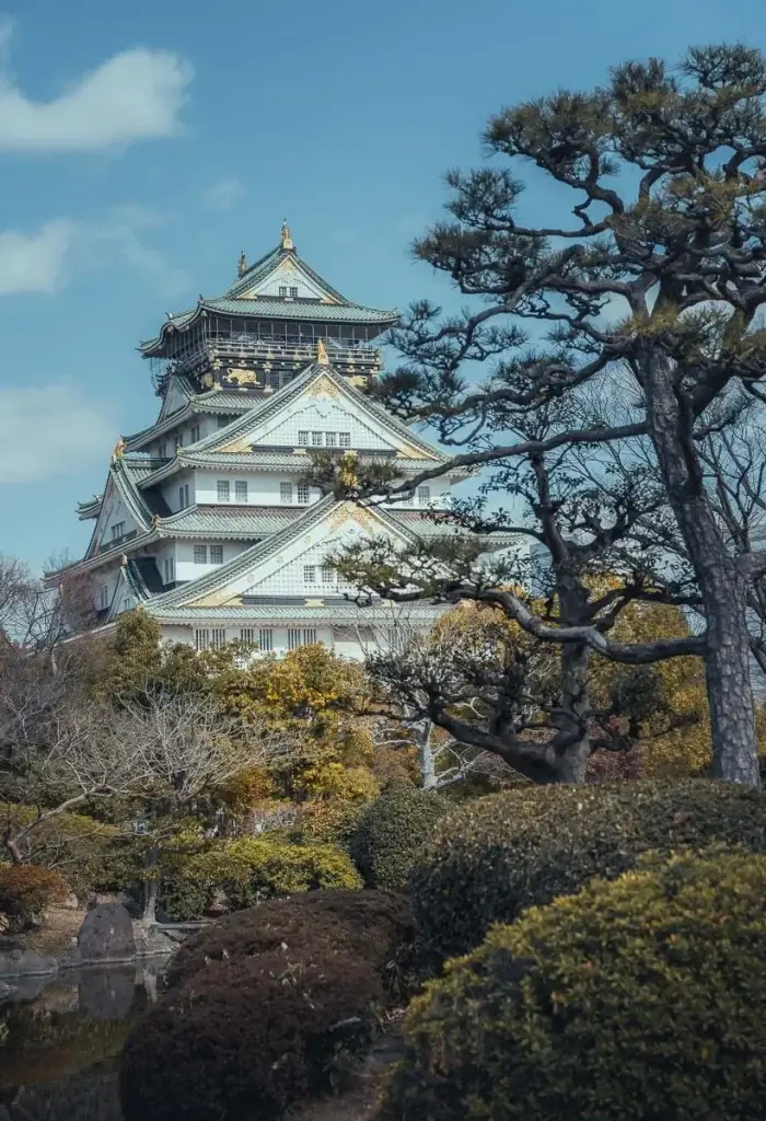 Donjon blanc et doré du château d’Osaka entre les pins taillés du jardin